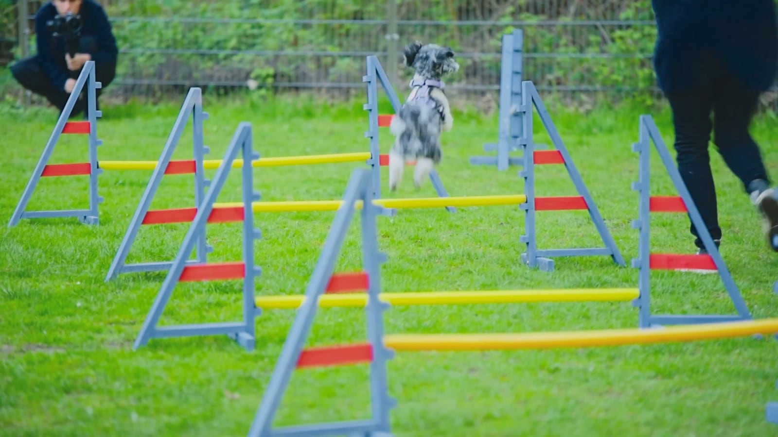 Agility-Training