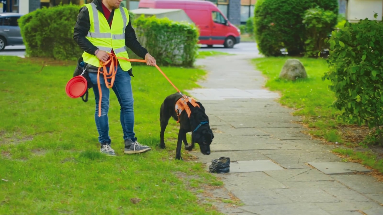 DOGmartens Antigiftködertraining