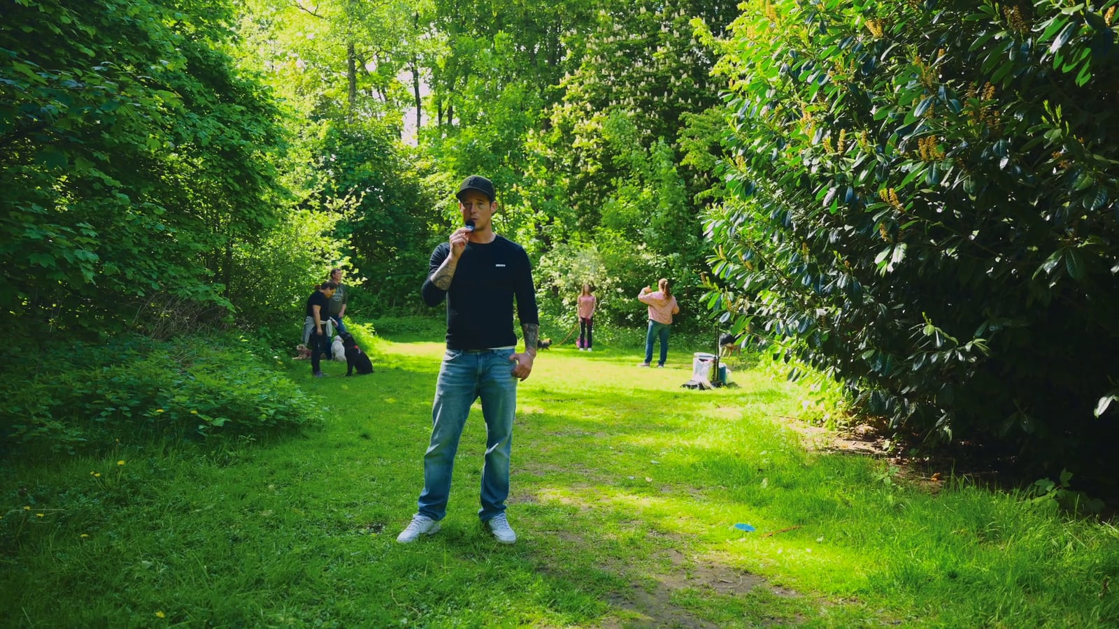 DOGmartens Antijagdtraining draußen