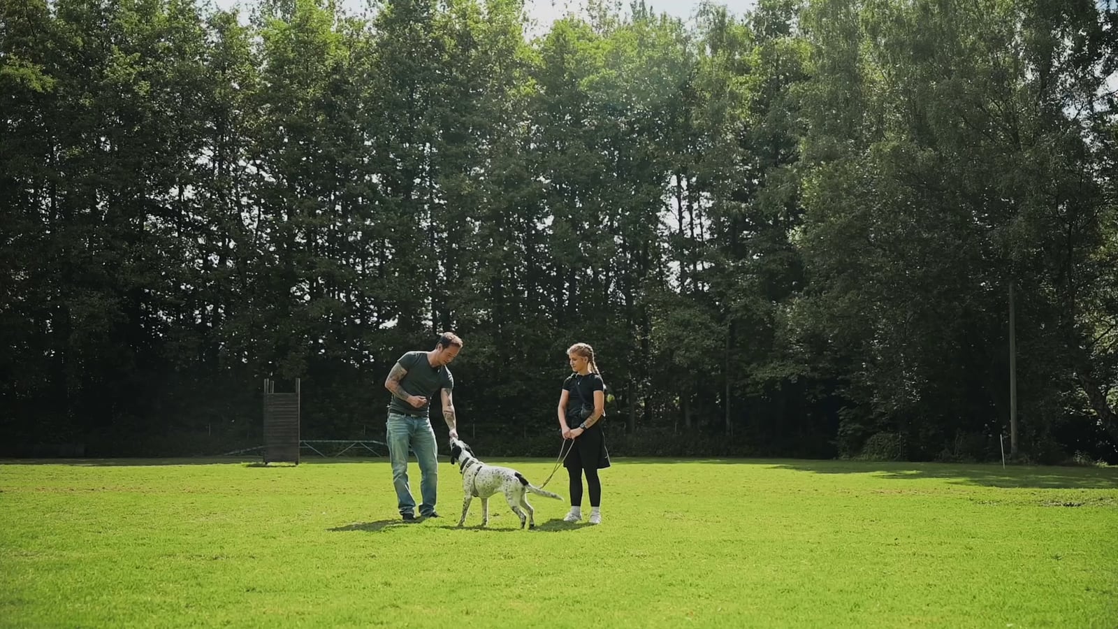 Hundeschule Hamburg